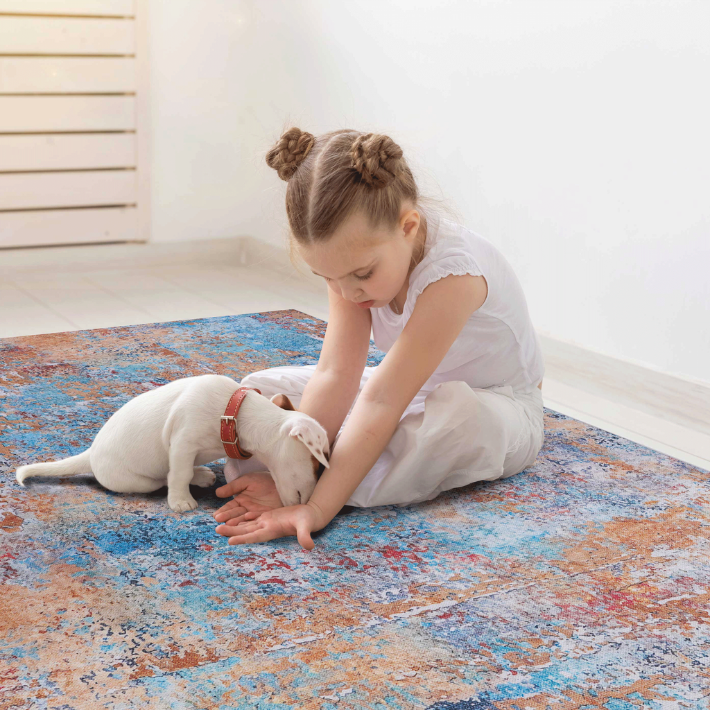 Leoglint 5x8 Area Rug for Living Room, Machine Washable AreaRug, Low-Pile, Non-Slip, Non-Shedding, Foldable, Kid & Pet Friendly - Area Rugs for living room, bedroom, kitchen, dining room, (Multi, 5'x8')