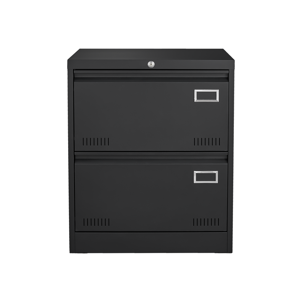 Leoglint 2 Drawer Metal Lateral File Cabinet with Lock,Office Vertical Files Cabinet for Home Office/Legal/Letter/A4,Locking Metal File Cabinet,Assembly Required (Black,with 2 Drawer)