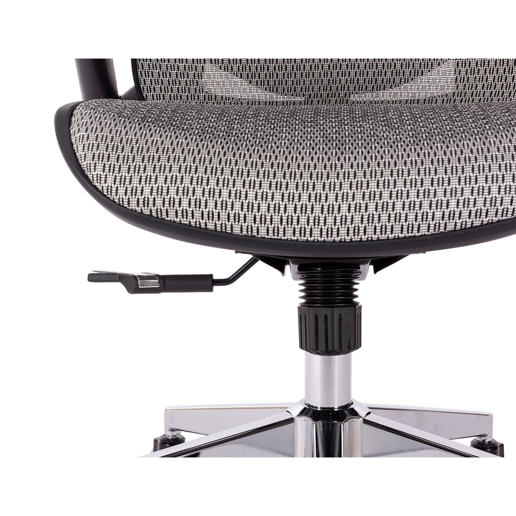 Leoglint GREY Ergonomic Mesh Office Chair, High Back - Adjustable Headrest with Flip-Up Arms, Tilt and lock Function, Lumbar Support and blade Wheels, KD chrome metal legs