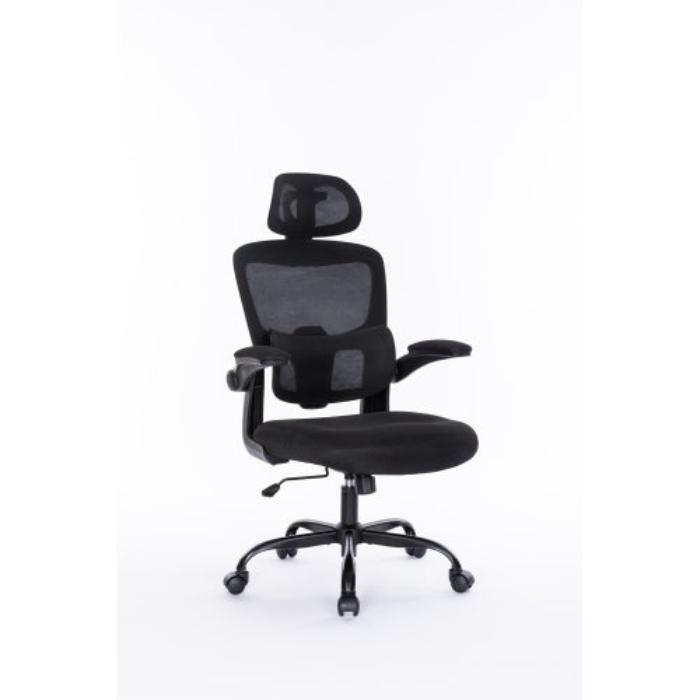 Leoglint Ergonomic Mesh Office Chair with 3D Adjustable Lumbar Support, High Back Desk Chair with Flip-up Arms, Executive Computer Chair Home Office Task Swivel Rolling Chairs for Adults