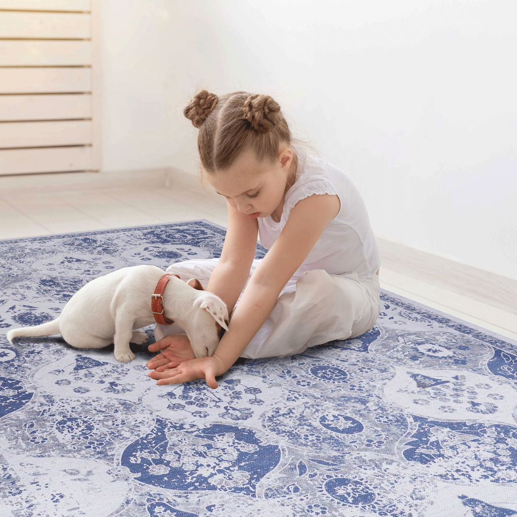 Leoglint Blue Area Rug 5x8, Washable Rug, Low-Pile, Non-Slip, Non-Shedding, Foldable, Kid & Pet Friendly - Area Rugs for living room, bedroom, kitchen, dining room rug - Perfect Gifts, (Blue, 5' x 8')