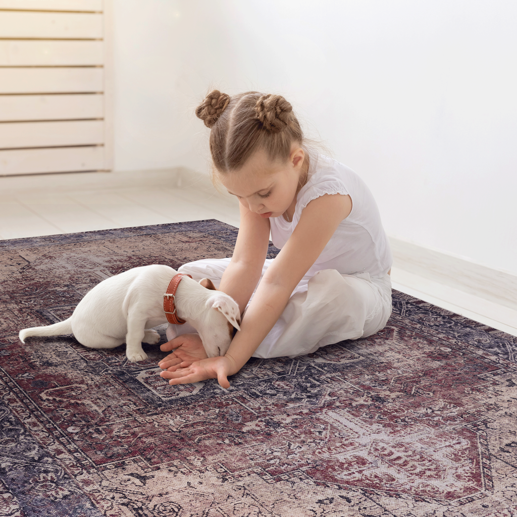 Leoglint Area Rugs 4x6, Washable Rug, Low-Pile, Non-Slip, Non-Shedding, Foldable, Kid & Pet Friendly - Area Rugs for living room, bedroom, kitchen, dining room rug - for Gifts, (Burgundy, 4' x 6')