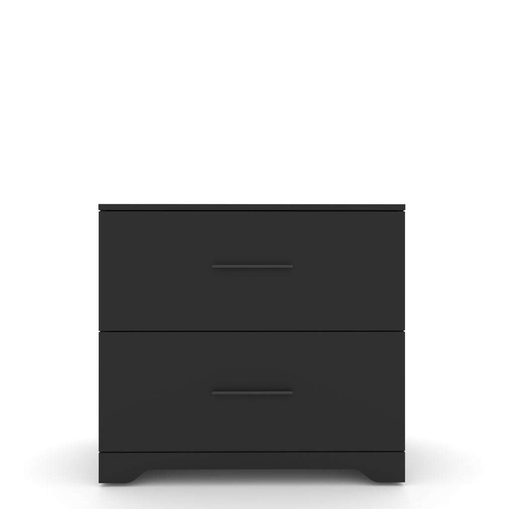 Leoglint 2 -Drawer Lateral Filing Cabinet,Storage Filing Cabinet for Home Office, Black