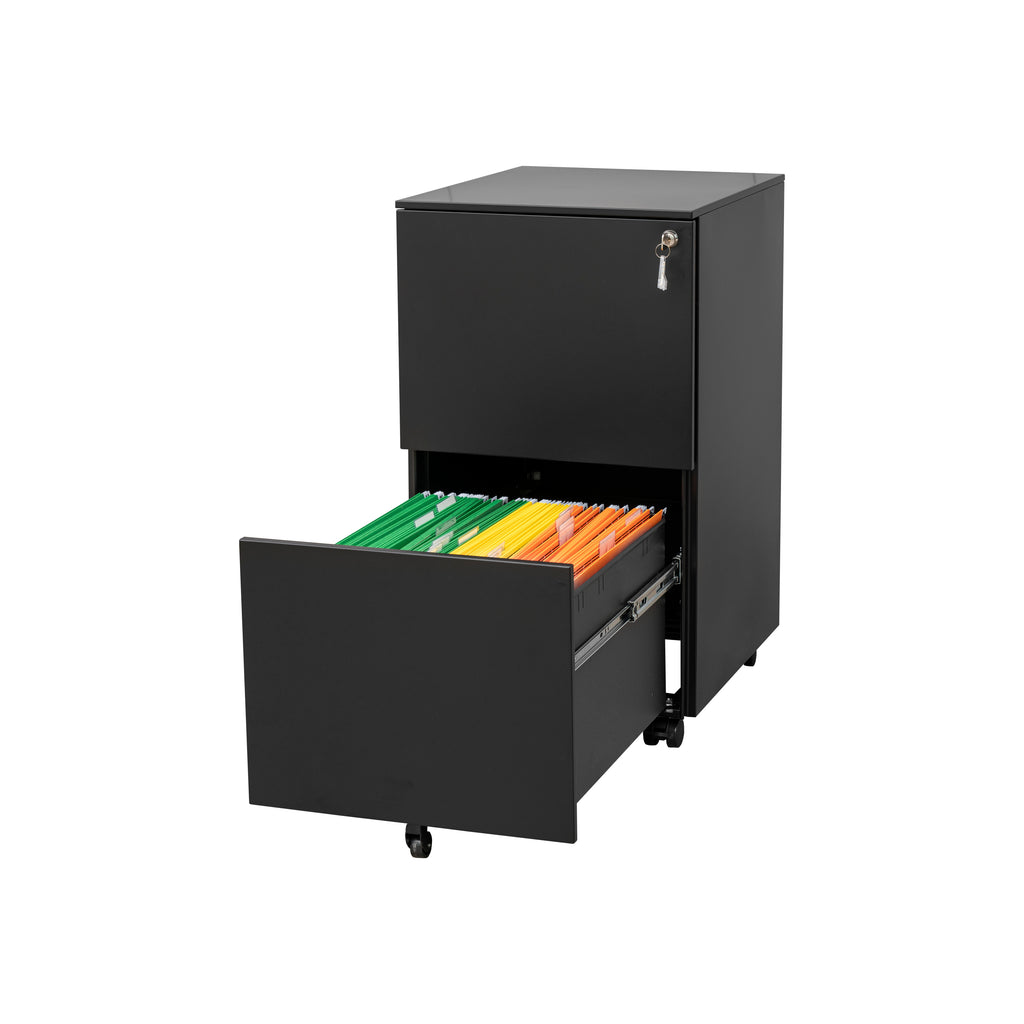 Leoglint 2 Drawer File Cabinet with Lock, Steel Mobile Filing Cabinet on Anti-tilt Wheels, Rolling Locking Office Cabinets Under Desk for Legal/Letter Size