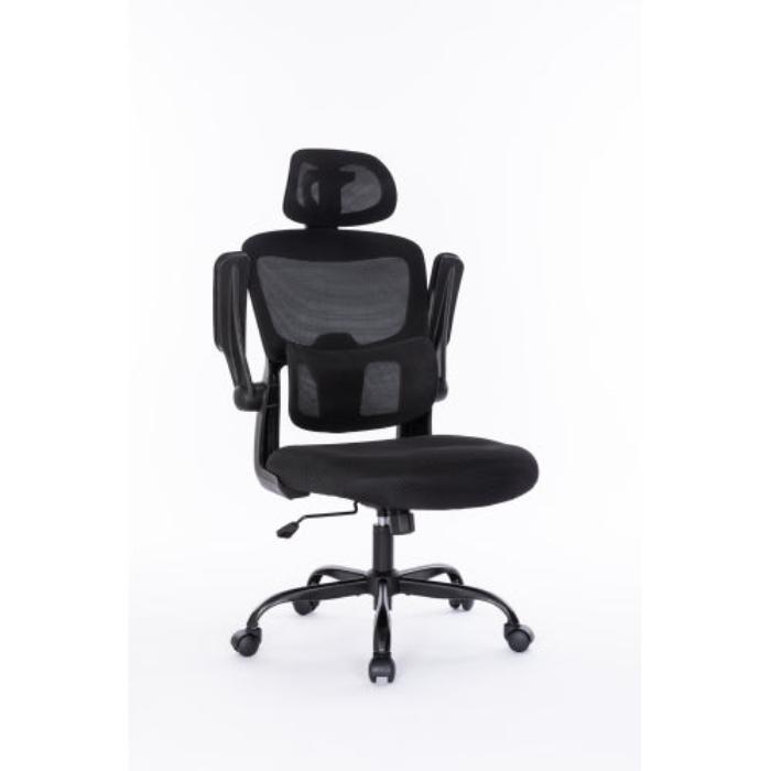 Leoglint Ergonomic Mesh Office Chair with 3D Adjustable Lumbar Support, High Back Desk Chair with Flip-up Arms, Executive Computer Chair Home Office Task Swivel Rolling Chairs for Adults