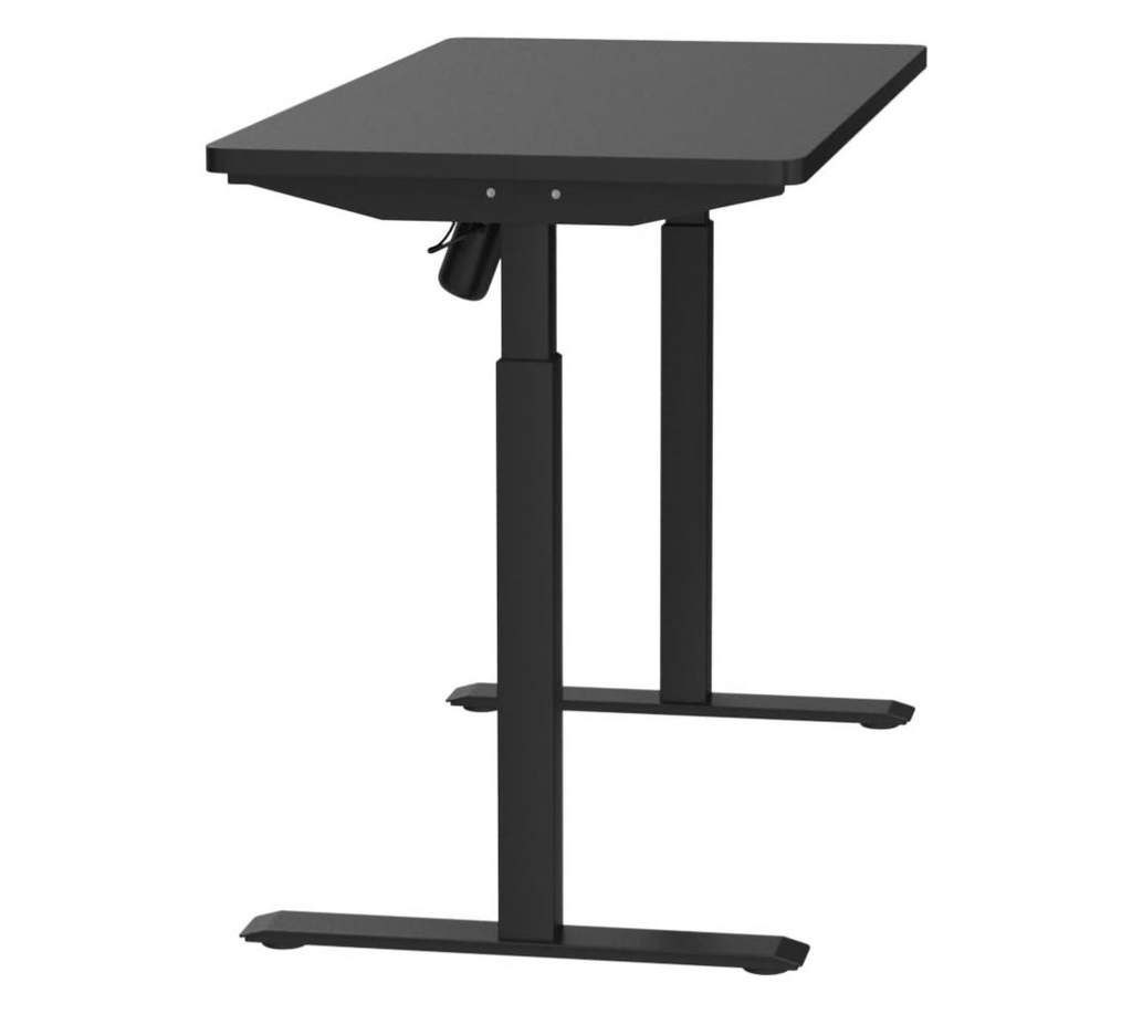 Leoglint Whole Piece Electric Standing Desk, 48 x 24 Inches Height Adjustable Desk, Sit Stand Desk Home Office Desks - Black