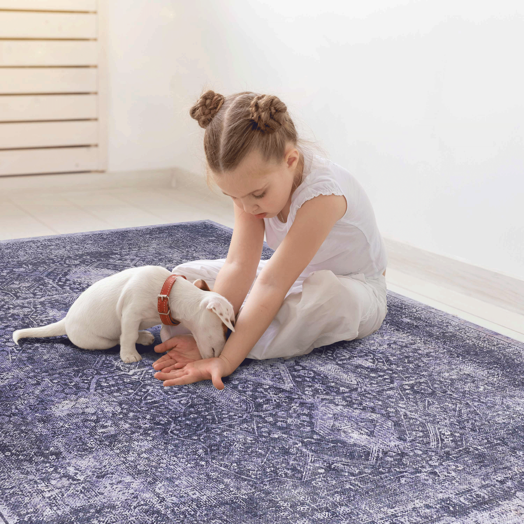 Leoglint 5x8 Area Rugs for Bedroom, Washable Rug, Low-Pile, Non-Slip, Non-Shedding, Foldable, Kid & Pet Friendly - Area Rugs for living room, bedroom, kitchen, dining room rug, (Anthracite, 5' x 8')