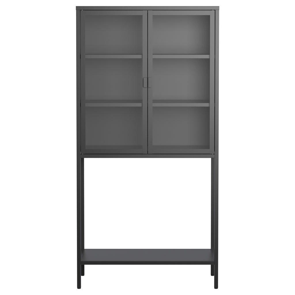 Leoglint 59"H Heavy Duty Metal Storage Cabinet,Sideboards & Buffet,Display Storage Cabinet with Glass Doors and 2 Adjustable Shelves, Tall Bookcase Modern Bookshelf Cabinet for Home Office, Living Room