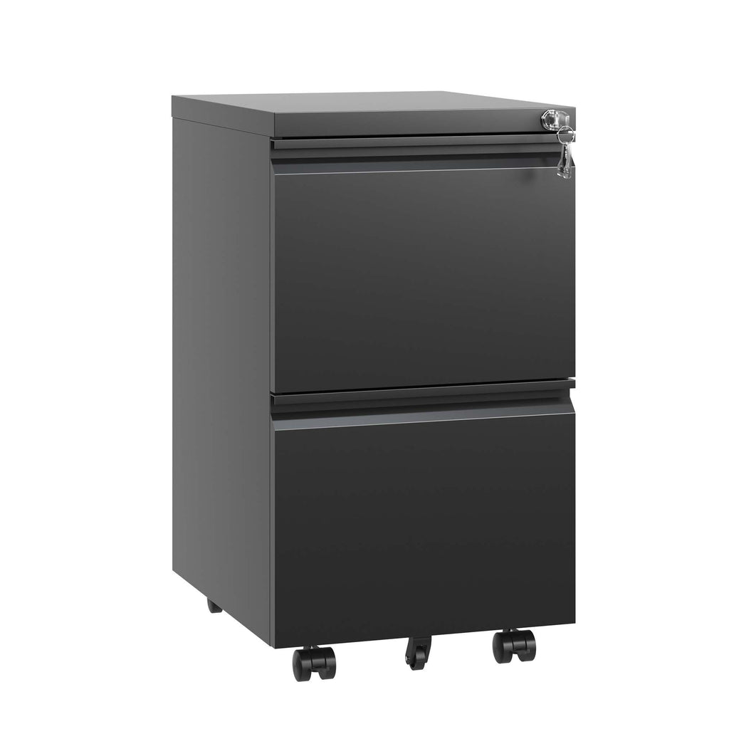 Leoglint 2 Drawer Metal  Mobile File Cabinet, Rolling File Cabinet with Lock for Hanging Legal/Letter/A4 Size,Fully Assembled Except Wheels