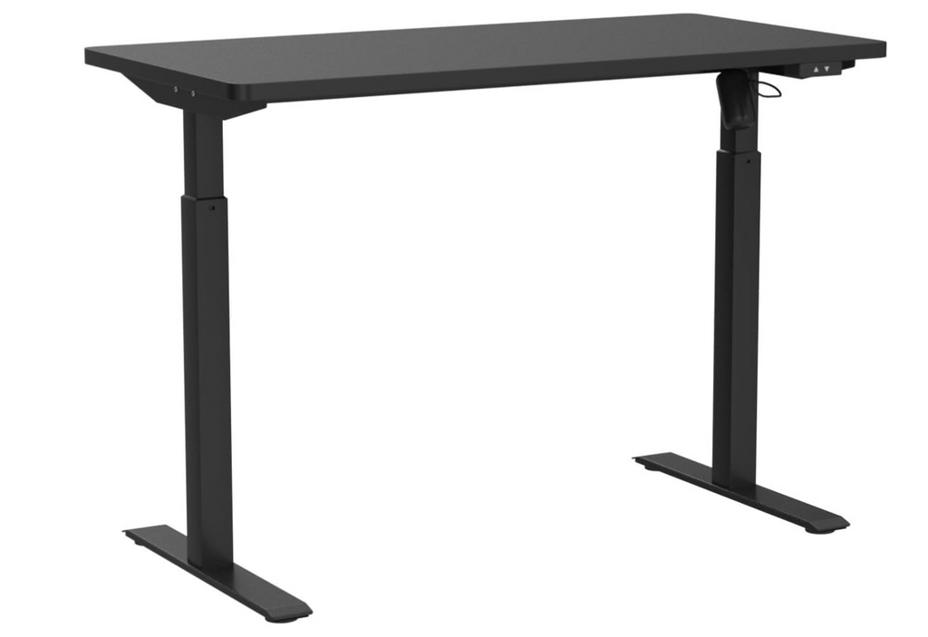 Leoglint Whole Piece Electric Standing Desk, 48 x 24 Inches Height Adjustable Desk, Sit Stand Desk Home Office Desks - Black