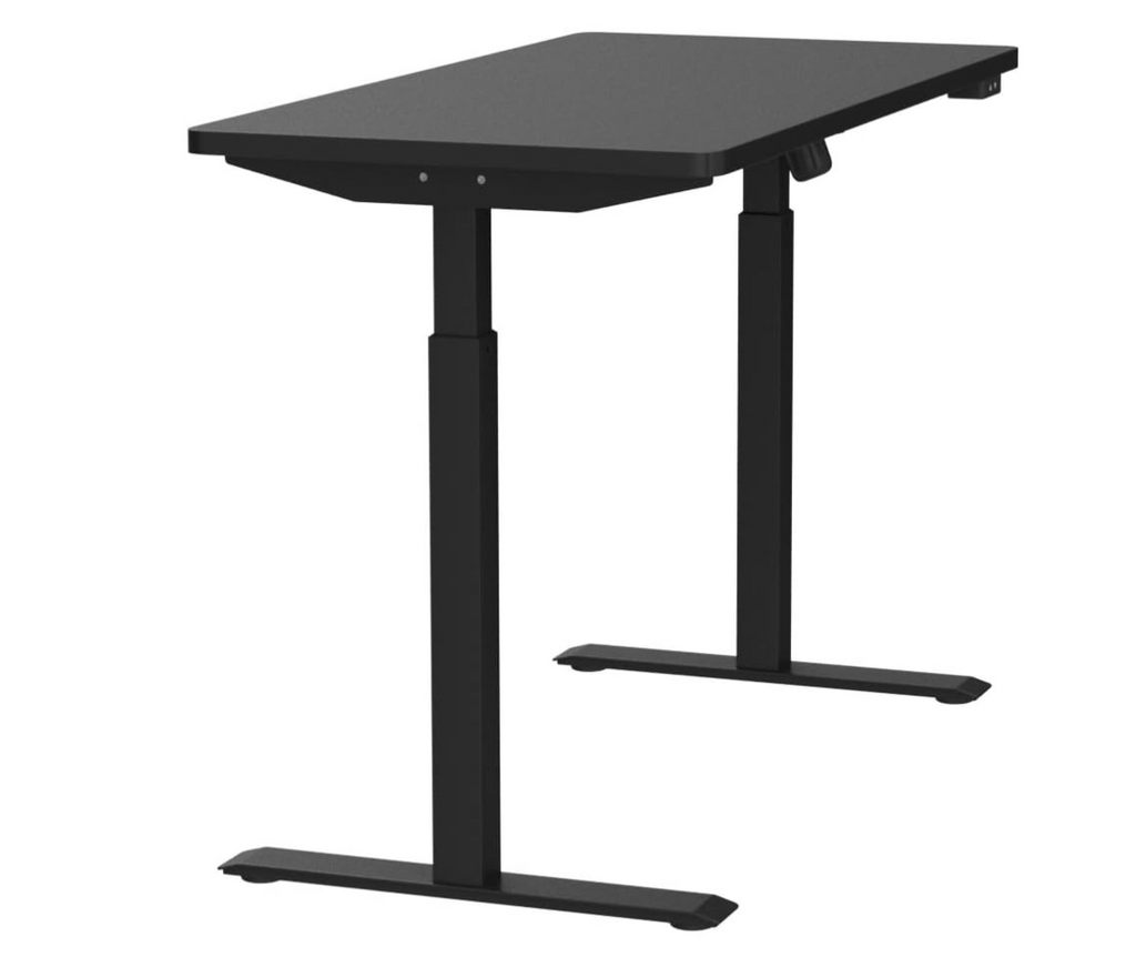 Leoglint Whole Piece Electric Standing Desk, 48 x 24 Inches Height Adjustable Desk, Sit Stand Desk Home Office Desks - Black