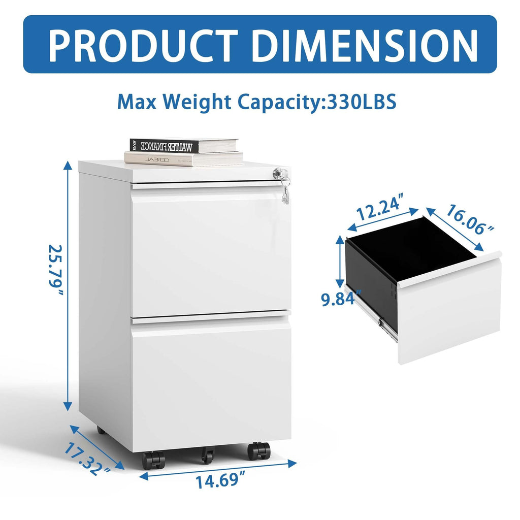 Leoglint 2 Drawer Metal  Mobile File Cabinet, Rolling File Cabinet with Lock for Hanging Legal/Letter/A4 Size,Fully Assembled Except Wheels