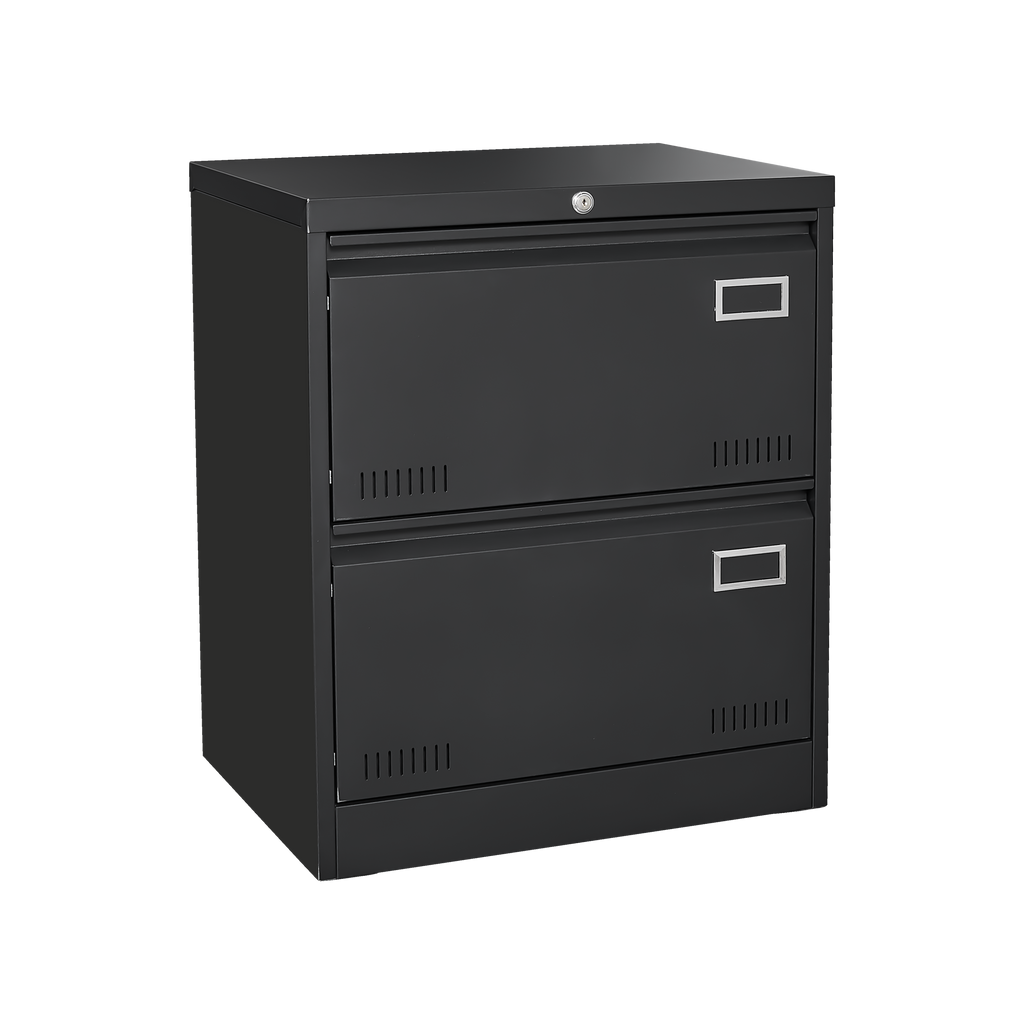 Leoglint 2 Drawer Metal Lateral File Cabinet with Lock,Office Vertical Files Cabinet for Home Office/Legal/Letter/A4,Locking Metal File Cabinet,Assembly Required (Black,with 2 Drawer)