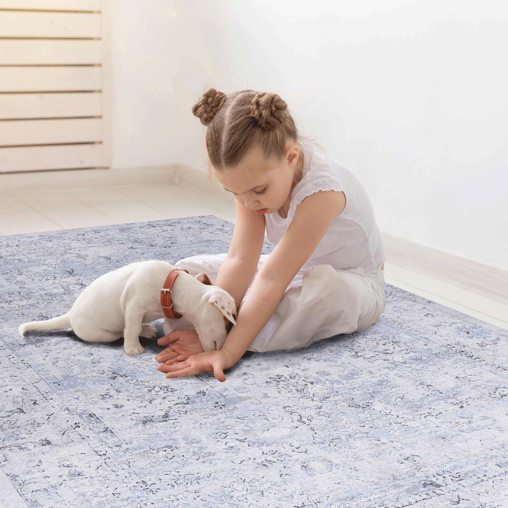 Leoglint 2x3, Machine Washable Area Rugs, Low-Pile, Non-Slip, Non-Shedding, Foldable, Kid&Pet Friendly - Area Rugs for living room, bedroom, kitchen, dining room rug - Perfect Gifts, (Blue+Cream, 2' x 3')